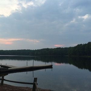 Meet your Posher, Lucy